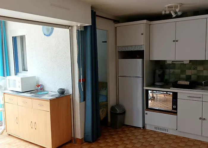 Les Locations De Lara Vi - T3 31m² Rez-de-jardin Terrasse 32m² Loggia Pkg Appartement